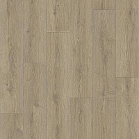 Линолеум Tarkett Praktika BRUNO_1 фото 1 | FLOORDEALER